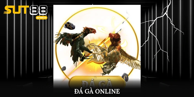 Đá gà online - Chơi càng xung nhận tiền càng mê