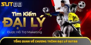 Khám phá về chương trình đại lý Sut88